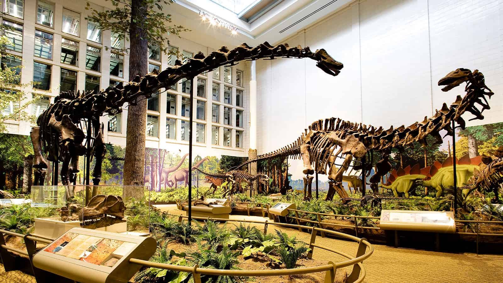 Natural History Museum