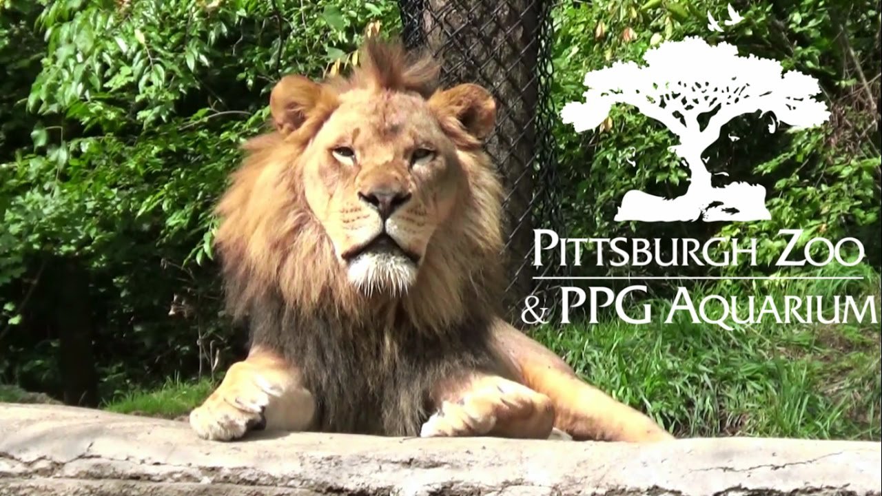 Pittsburgh Zoo